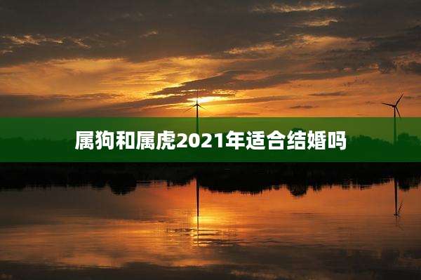 属狗和属虎2021年适合结婚吗