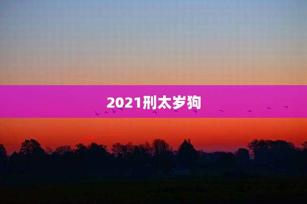 2021刑太岁狗