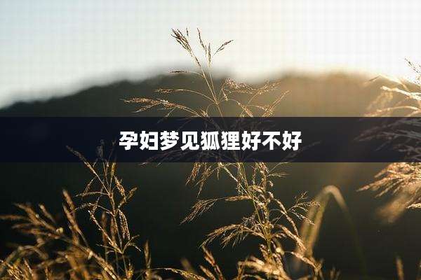 孕妇梦见狐狸好不好