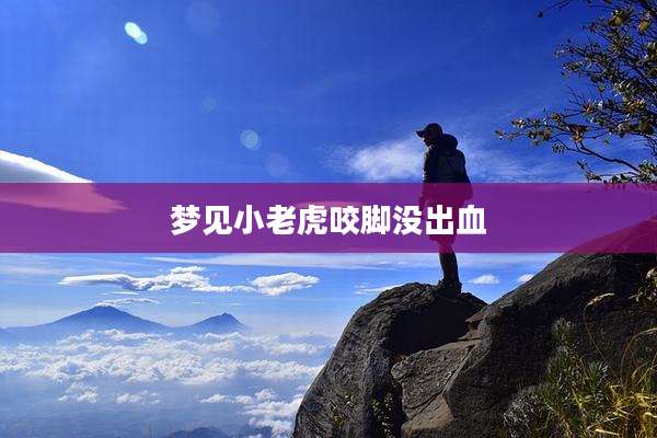 梦见小老虎咬脚没出血