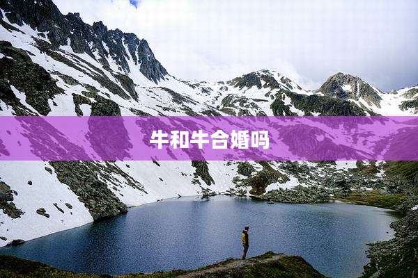牛和牛合婚吗