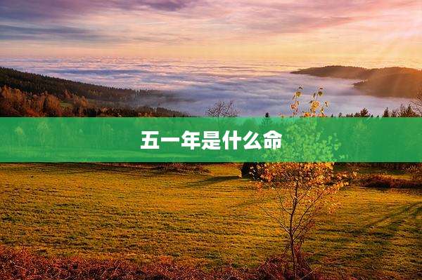 五一年是什么命