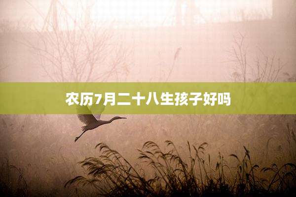 农历7月二十八生孩子好吗