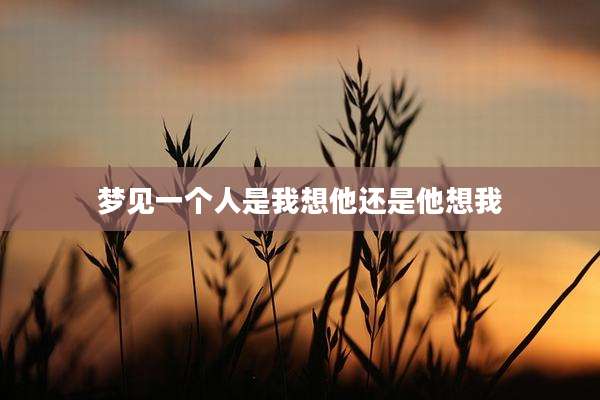 梦见一个人是我想他还是他想我
