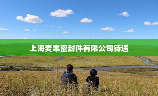 上海麦丰密封件有限公司待遇