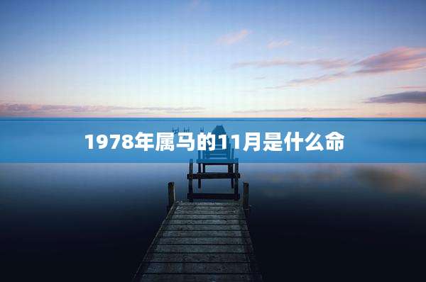 1978年属马的11月是什么命