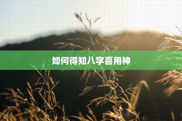 如何得知八字喜用神