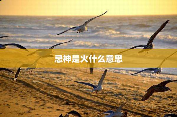 忌神是火什么意思