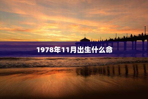 1978年11月出生什么命
