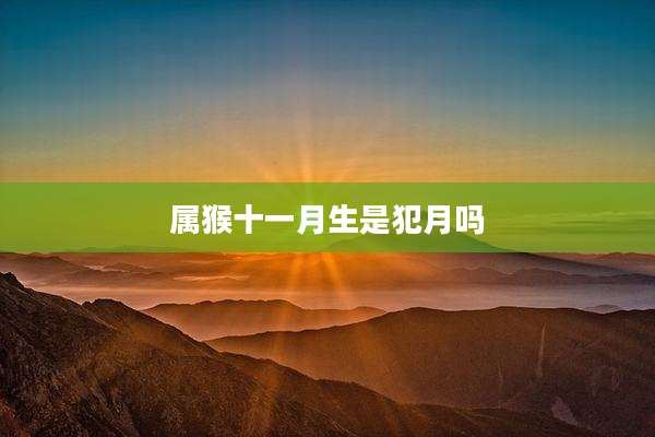 属猴十一月生是犯月吗