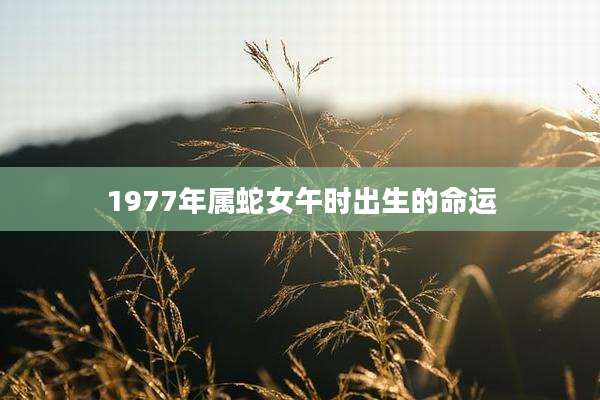 1977年属蛇女午时出生的命运