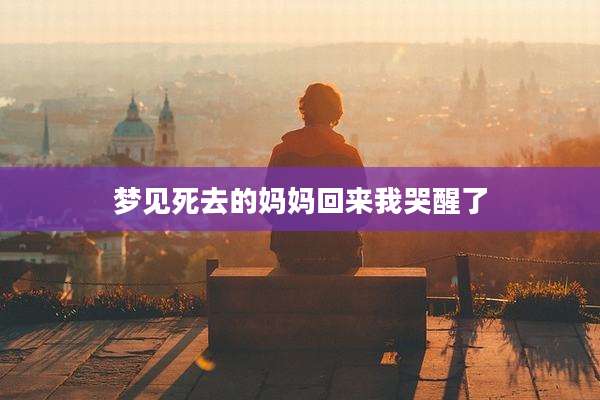 梦见死去的妈妈回来我哭醒了