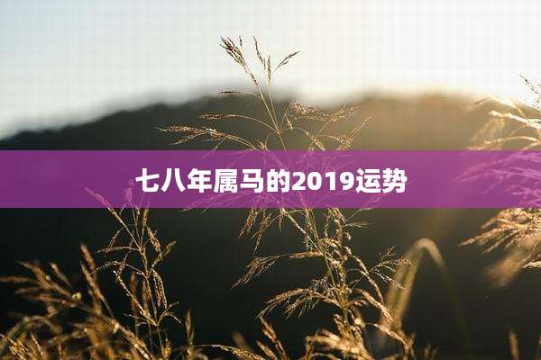 七八年属马的2019运势