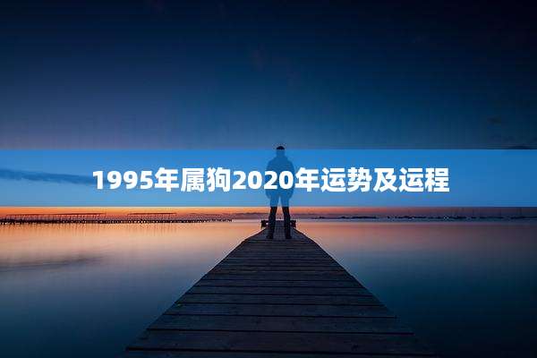 1995年属狗2020年运势及运程