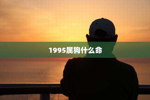 1995属狗什么命