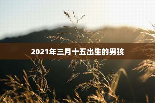 2021年三月十五出生的男孩