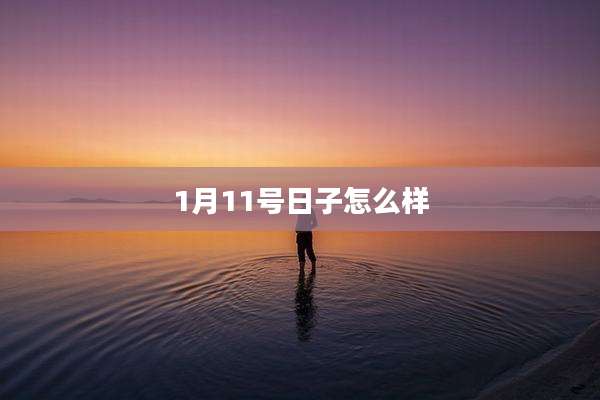 1月11号日子怎么样