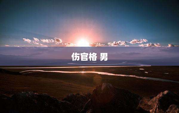 伤官格 男