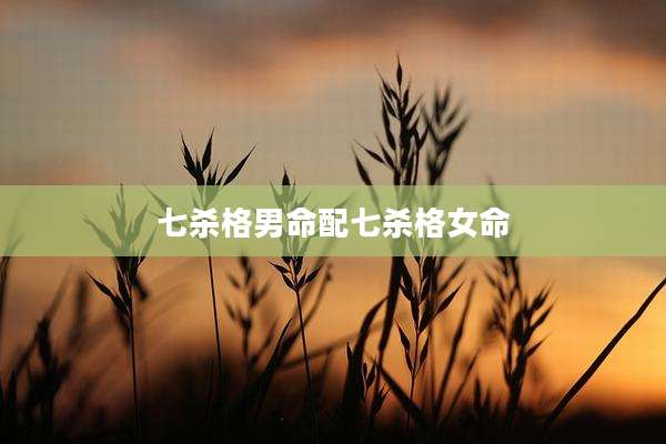 七杀格男命配七杀格女命