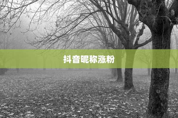 抖音昵称涨粉