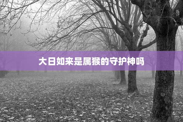 大日如来是属猴的守护神吗