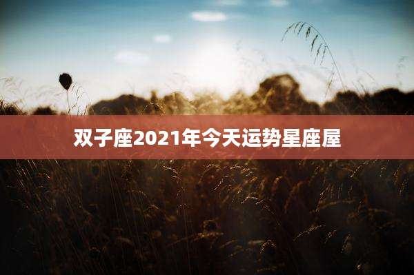 双子座2021年今天运势星座屋