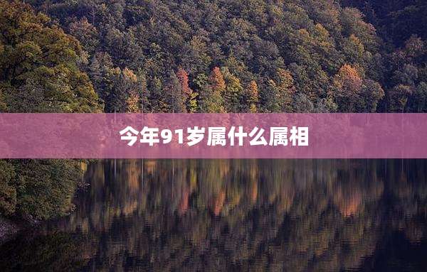 今年91岁属什么属相