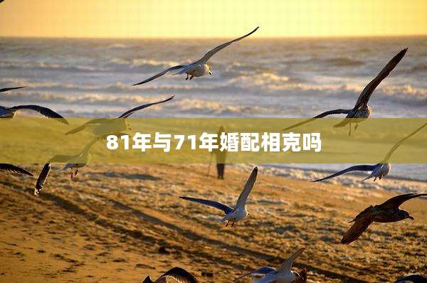 81年与71年婚配相克吗