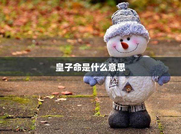 皇子命是什么意思