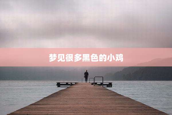 梦见很多黑色的小鸡