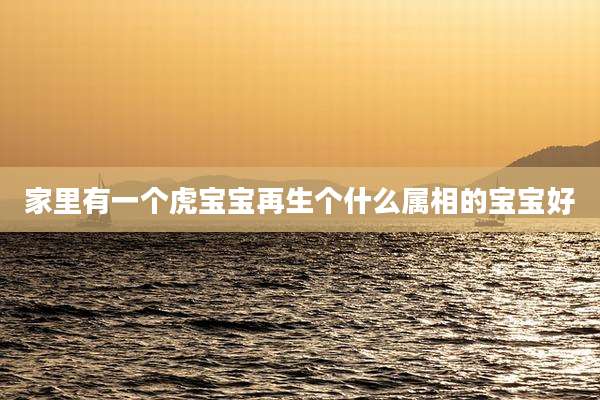 家里有一个虎宝宝再生个什么属相的宝宝好