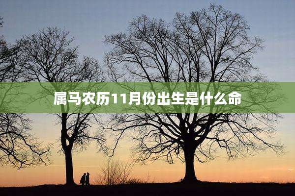 属马农历11月份出生是什么命
