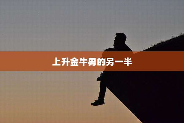 上升金牛男的另一半