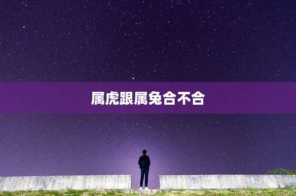 属虎跟属兔合不合
