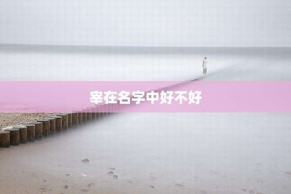 宰在名字中好不好