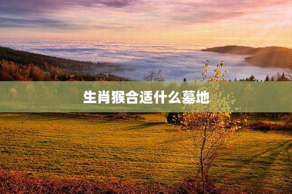 生肖猴合适什么墓地