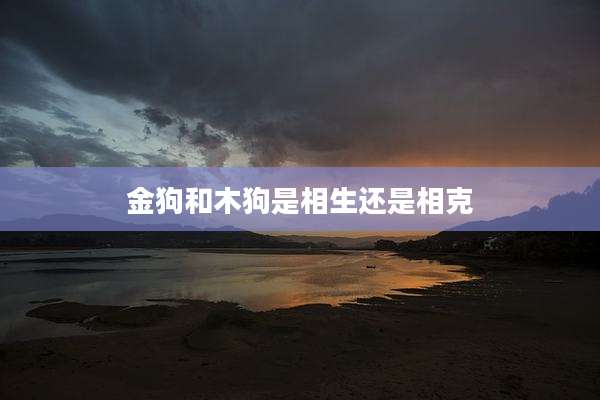 金狗和木狗是相生还是相克