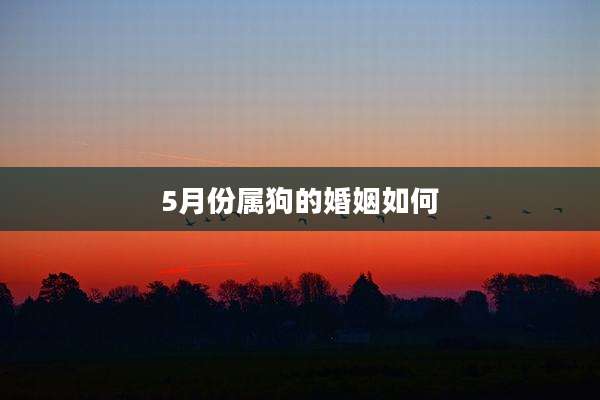 5月份属狗的婚姻如何
