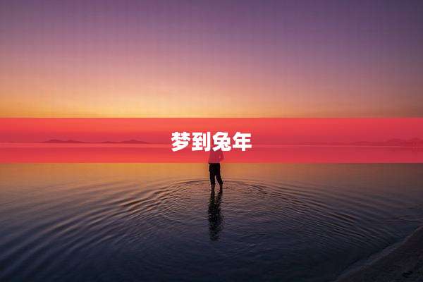梦到兔年
