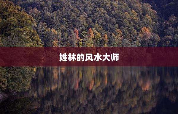 姓林的风水大师