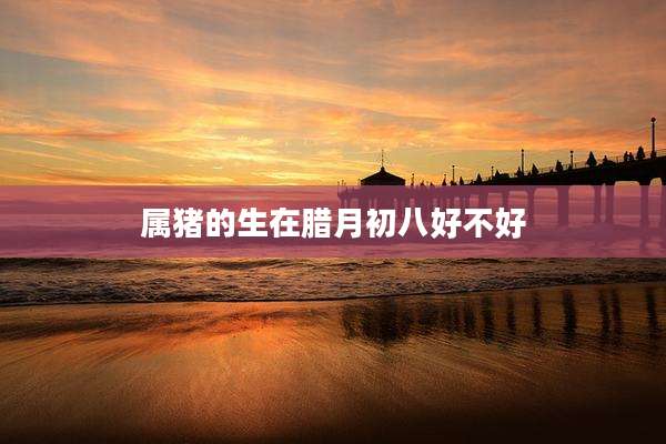 属猪的生在腊月初八好不好