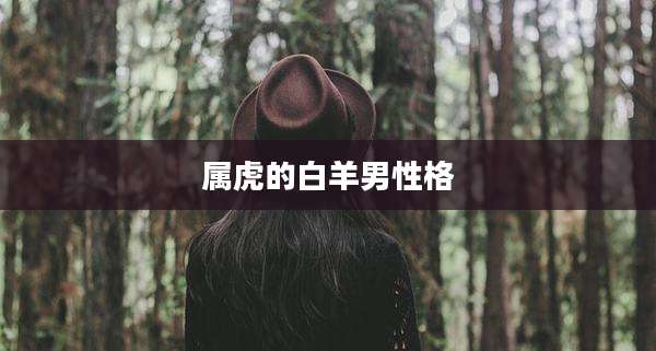 属虎的白羊男性格