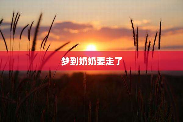 梦到奶奶要走了