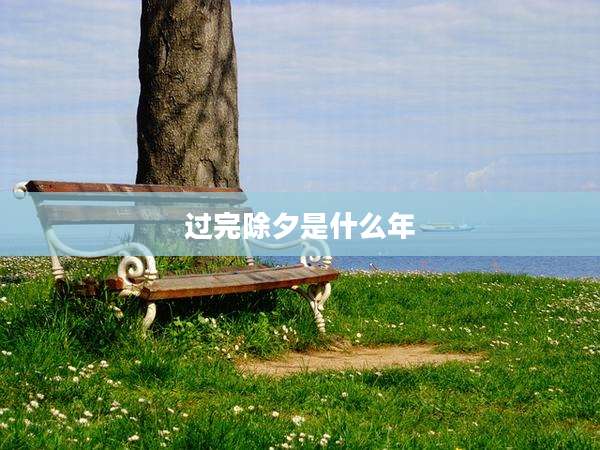 过完除夕是什么年