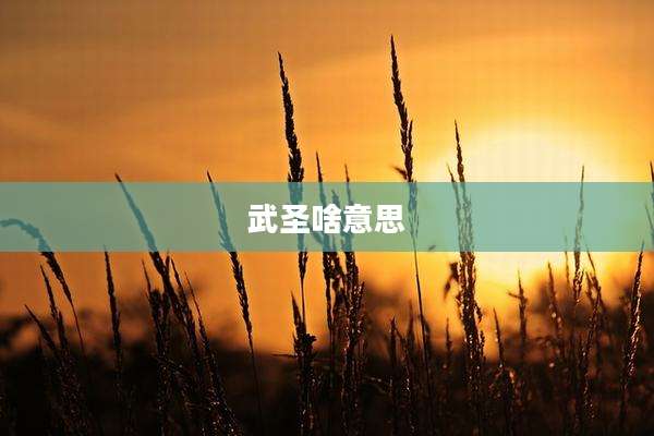武圣啥意思