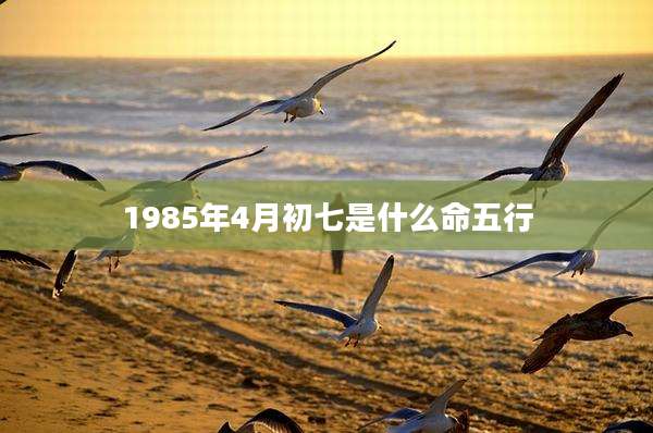 1985年4月初七是什么命五行