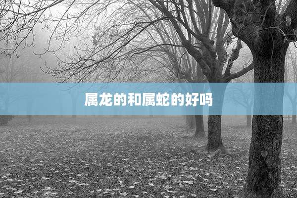属龙的和属蛇的好吗