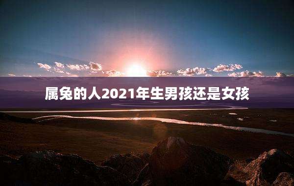 属兔的人2021年生男孩还是女孩