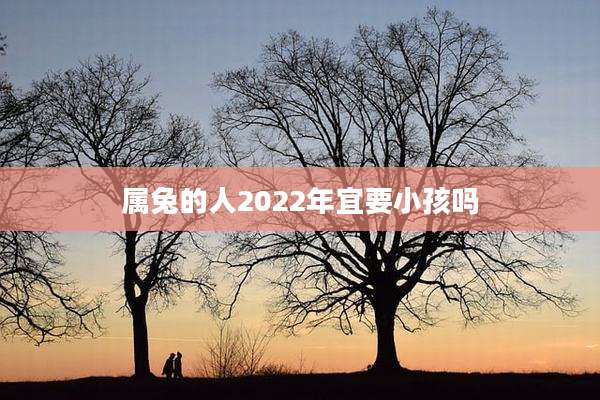 属兔的人2022年宜要小孩吗