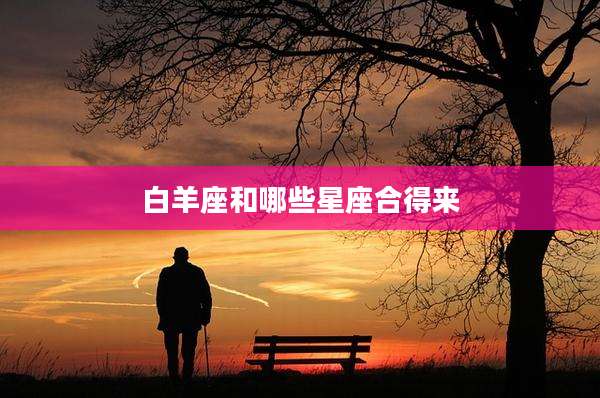 白羊座和哪些星座合得来